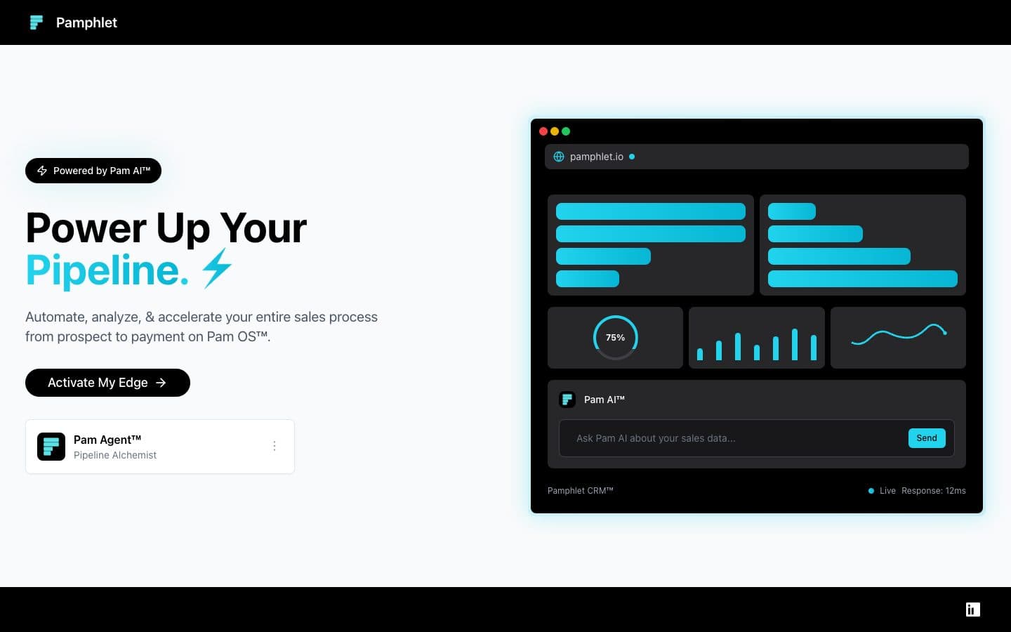 Pamphlet customer conversation interface